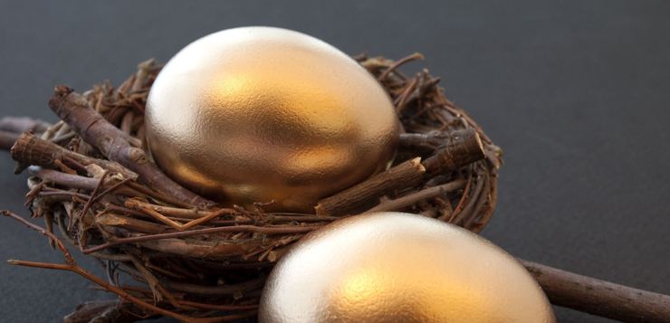 7423960 - hopes & dreams: golden eggs & twig nest