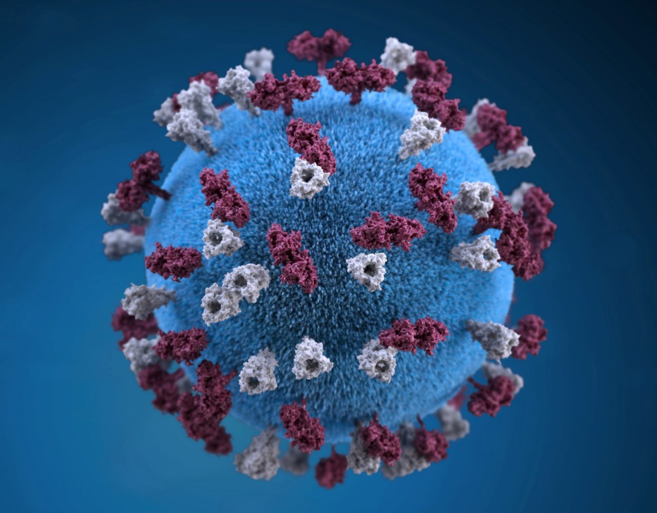 coronavirus-portada-1280x1000.jpg