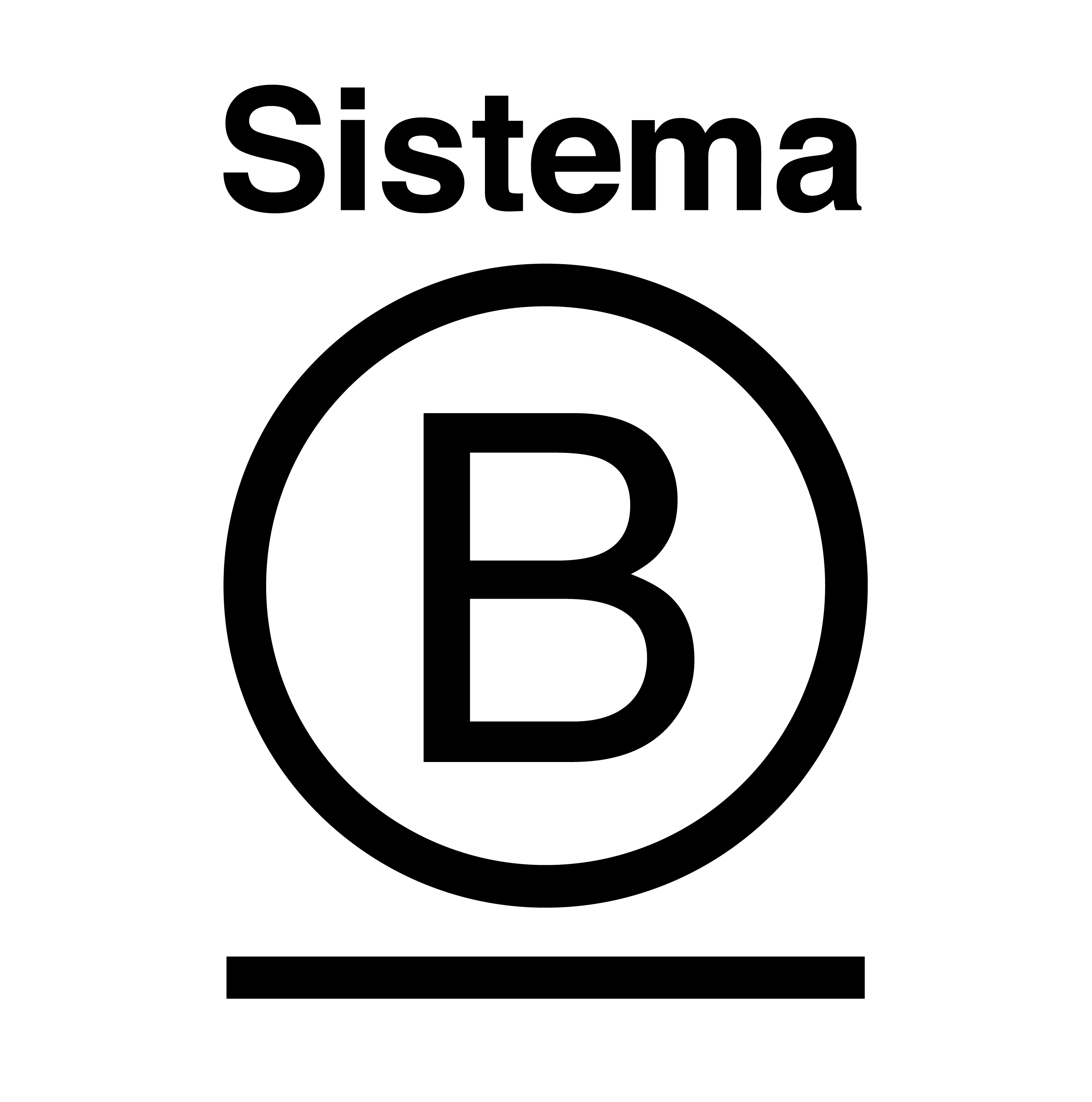 Sistema B Logo