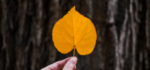 Servicios esenciales sostener el empleo, sostener la calidad